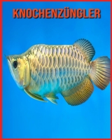 Knochenzüngler: Spaß beim Lernen von Fakten über Knochenzüngler B08WSDW1DL Book Cover