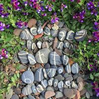 Messages from the Earth 197785379X Book Cover