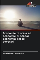 Economie di scala ed economie di scopo: Economia per gli avvocati (Italian Edition) 6208201888 Book Cover