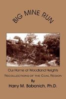 BIG MINE RUN: Recollections of the Coal Region 1420865366 Book Cover