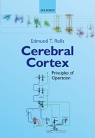 Cerebral Cortex: Principles of Operation 0198820348 Book Cover