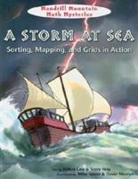 A Storm at Sea: Sorting, Mapping, and Grids in Action 1607548151 Book Cover
