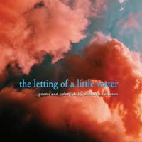 The Letting of a Little Water 1949713067 Book Cover