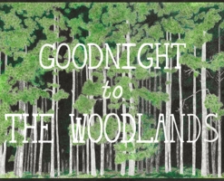 Goodnight to The Woodlands 0578534983 Book Cover