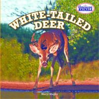 White-Tailed Deer 1477707921 Book Cover