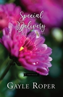 Special Delivery: A Seaside Novella (Seaside Seasons) B08JF16W25 Book Cover