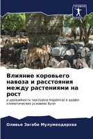 ??????? ????????? ?????? ? ?????????? ??ж 6206921328 Book Cover