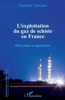 L'exploitation du gaz de schiste en France: Entre enjeux et opportunités (Géoéconomie Et Géofinance) (French Edition) 234304399X Book Cover