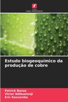 Estudo biogeoquímico da produção de cobre 6205990350 Book Cover