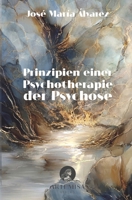 Prinzipien einer Psychotherapie der Psychose (German Edition) 3982836603 Book Cover