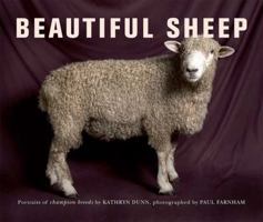 Beautiful Sheep: Portraits of Champion Breeds 0312385129 Book Cover