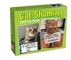 Cat Shaming 2023 Day-to-Day Calendar 1524872733 Book Cover