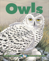 Owls 1553376234 Book Cover