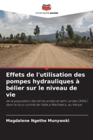 Effets de l'utilisation des pompes hydrauliques à bélier sur le niveau de vie (French Edition) 6208330041 Book Cover