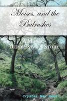 Moises, and the Bulrushes: A Manic-Depressive's Story 1438234015 Book Cover