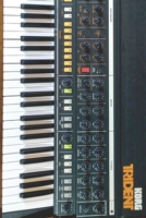 Vintage Synthesizer Notebook: Journal Composition for Synth Lovers 6"x9" 120 blank pages Trident 1658590341 Book Cover