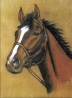 Horse Notebook 0486498433 Book Cover