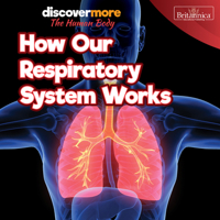 How Our Respiratory System Works 1641905050 Book Cover