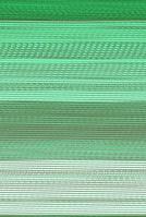 Underwater Worlds 1604578815 Book Cover