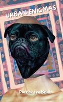 Urban Enigmas B0FLMYNCJL Book Cover