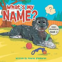 What's My Name?: King's Adventures Book 2 1796002747 Book Cover