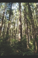 Upheaval B08CGBTYF9 Book Cover