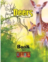 Deers Coloring Book for Kids: Deers coloring And Activity book for children's B0979PJYYB Book Cover