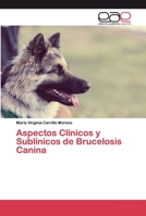 Aspectos Clínicos y Sublínicos de Brucelosis Canina 6139468752 Book Cover