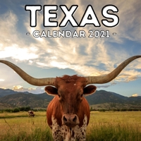 Texas Calendar 2021: 16-Month Calendar, Cute Gift Idea For Texas Lovers Women & Men B095PS25SC Book Cover