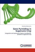 Gene Pyrmiding in Sugarcane Crop: Integration and expression of genes encoding PR-proteins in sugarcane crop 3847314114 Book Cover
