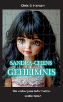 Sandra-chens Geheimnis: Die verborgene Information (German Edition) 3819206264 Book Cover