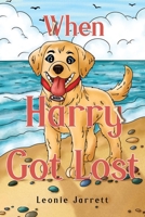 When Harry Got Lost 1787888428 Book Cover