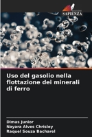 Uso del gasolio nella flottazione dei minerali di ferro (Italian Edition) 6207901452 Book Cover