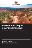 Gestion des risques environnementaux 6203422088 Book Cover