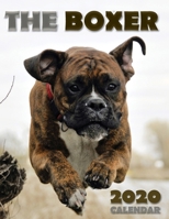 The Boxer 2020 Calendar 164252445X Book Cover