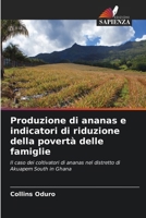 Produzione di ananas e indicatori di riduzione della povertà delle famiglie (Italian Edition) 6208473721 Book Cover