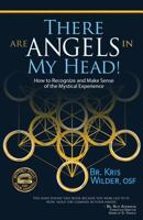 There Are Angels in My Head!: How to Recognize and Make Sense of the Mystical Experience 0692553304 Book Cover