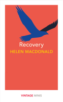 Recovery: Vintage Minis 1784875473 Book Cover