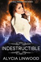 Indestructible 1495450139 Book Cover