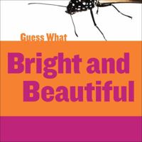 Bright and Beautiful: Butterfly 1634707214 Book Cover