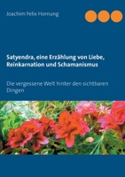 Satyendra, eine Erzählung von Liebe, Reinkarnation und Schamanismus: Die vergessene Welt hinter den sichtbaren Dingen 3754324098 Book Cover