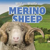 Merino Sheep 1538325330 Book Cover