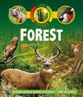Life Cycles: Forest 0753470659 Book Cover