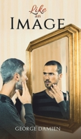Like an Image null Book Cover