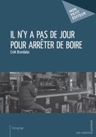Il n'y a pas de jour pour arrêter de boire (French Edition) 2342056133 Book Cover