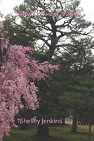 Shelley's Book of Poems B0C7DXM7WD Book Cover