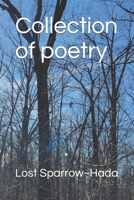 Collection of poetry B09R3DHQ28 Book Cover