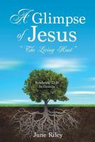 A Glimpse of Jesus 1545611785 Book Cover