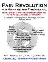 Pain Revolution for Migraine and Fibromyalgia (Discounted Printing): The Paradigm-Shifting Guide for Doctors and Patients Dealing with Chronic Pain 1523909064 Book Cover