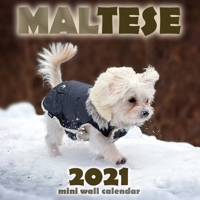 Maltese 2021 Mini Wall Calendar 1713902273 Book Cover